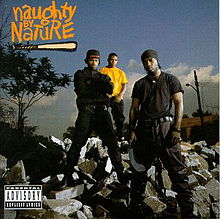 220px-NaughtyByNaturealbum